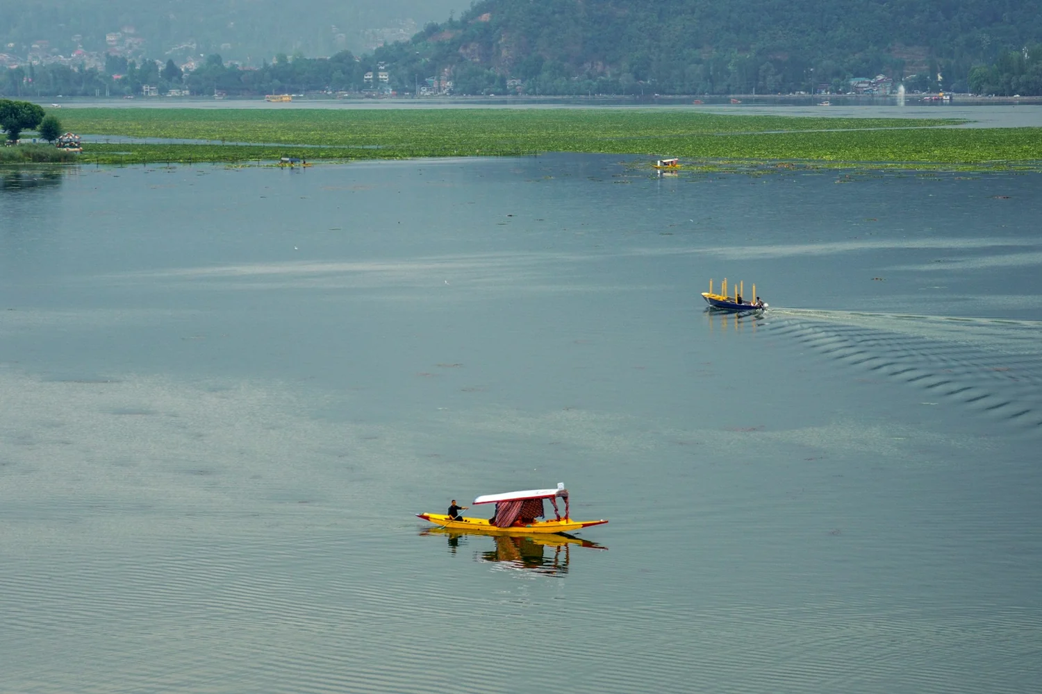 A shikara on Dal Lake in Srinagar, Kashmir